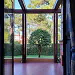 Terrace Lejlighed