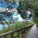 Апартаменты Terrace