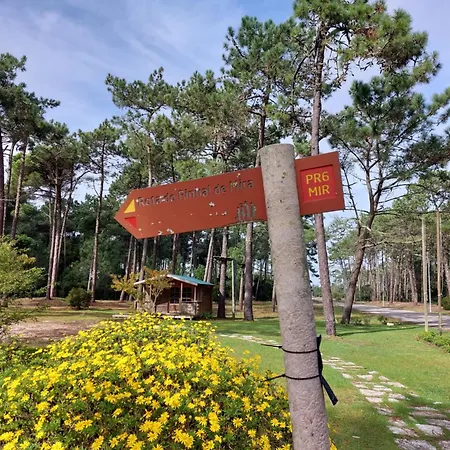 Apartament Terrace *