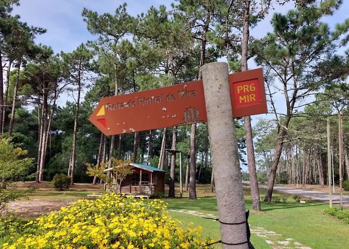 Apartament Terrace *